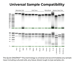 <i>Quick</i>-DNA/RNA Microprep Plus Kit