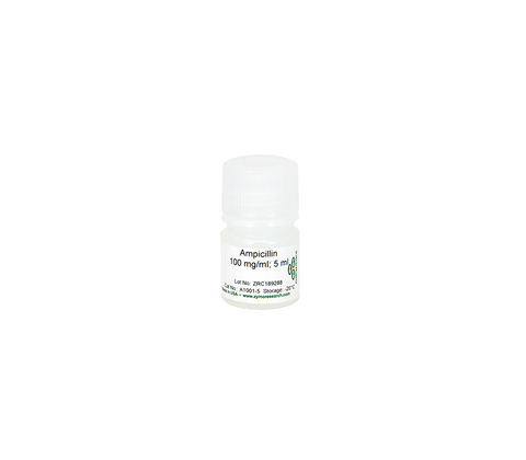 Ampicillin Sodium Solution