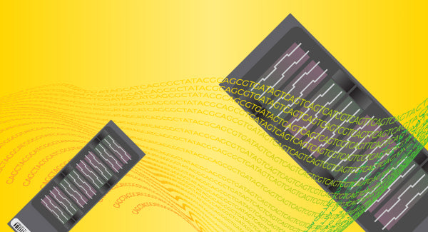 Bisulfite Conversion for Illumina Methylation Arrays