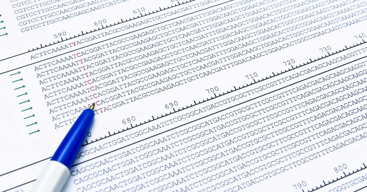 What are SAM & BAM Files? | ZYMO RESEARCH