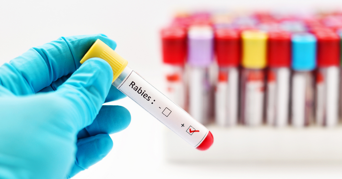 Transforming Global Rabies Detection