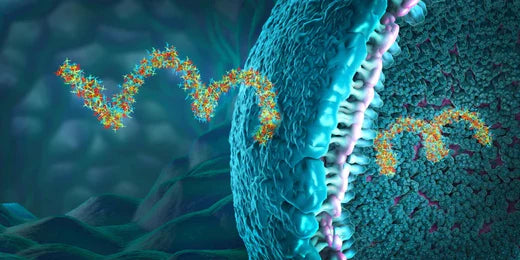 RNA-Seq Revolution for all Corners of Biology | ZYMO RESEARCH