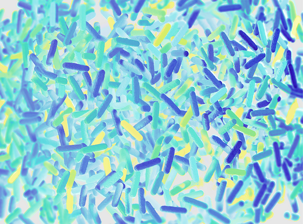 Uncover the true picture by learning how bias can be introduced into metagenomics workflows.