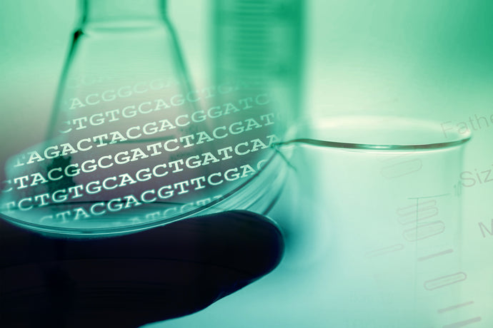 Long-Read Epigenetics with Microbiome Standards