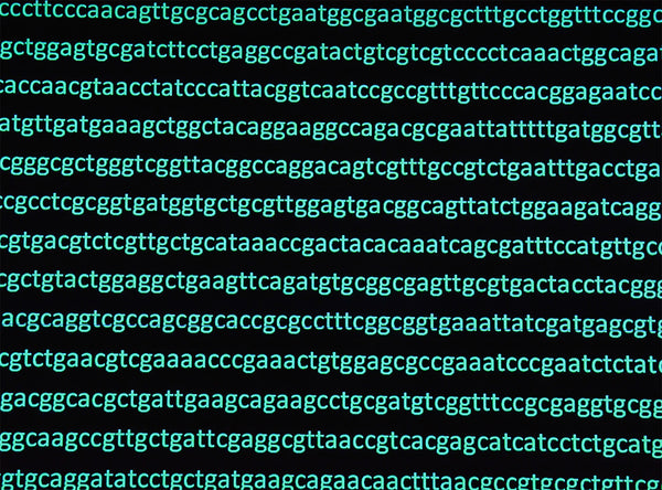 Learn about the ideal DNA input requirements for NGS sequencing.