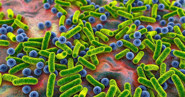 Learn the differences between mock microbial communities, spike-in controls, and reference materials.