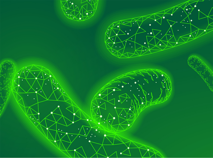 16S Sequencing vs Shotgun Metagenomic Sequencing