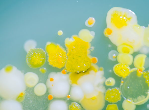 Discover how you can achieve strain-level identification for microbiome samples.