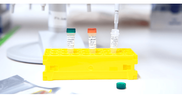 CONTROLS FOR DNA METHYLATION ASSAYS