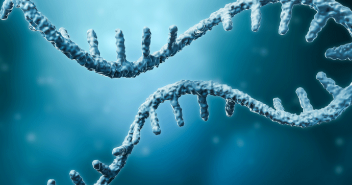 Considerations for Choosing between Total RNA-Seq and 3' mRNA-Seq