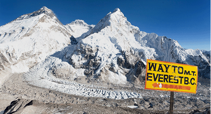 Peak Performance: How Everest Altitudes Impact Gene Expression