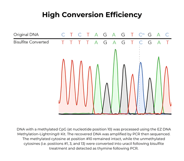 【洋書・専門書】DNA Methylation Protocols 1_EZ-DNA-Methylation-Lightning
