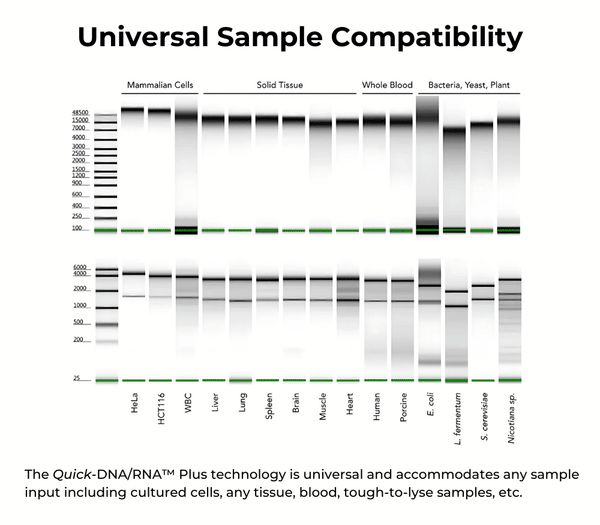 Quick-DNA/RNA Microprep Plus Kit | ZYMO RESEARCH Quick-DNA/RNA Microprep Plus Kit | ZYMO RESEARCH