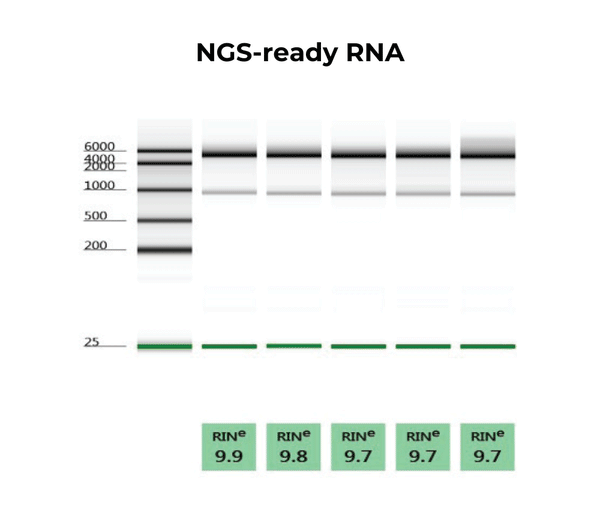 Quick-RNA Miniprep Kit - Get Free Sample Now