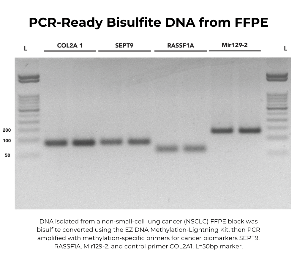 EZ DNA Methylation-Lightning Kit - Get Free Sample Now