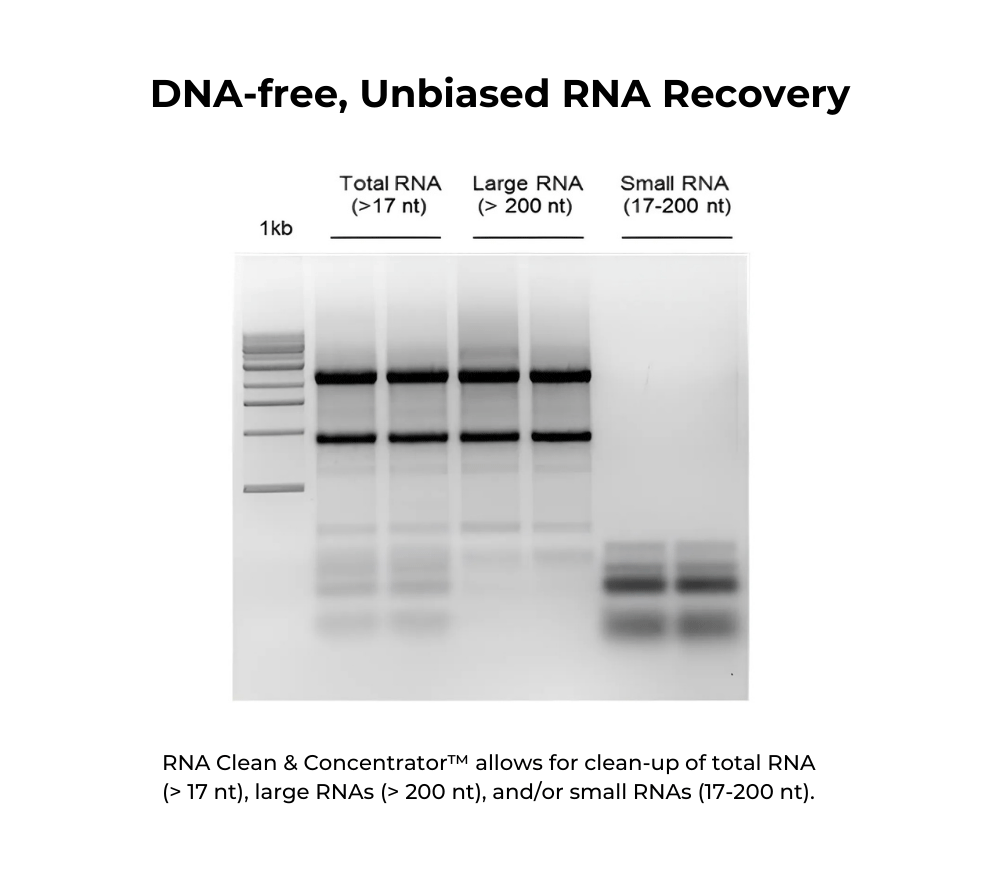 RNA Clean & Concentrator-5 - Get Free Sample Now