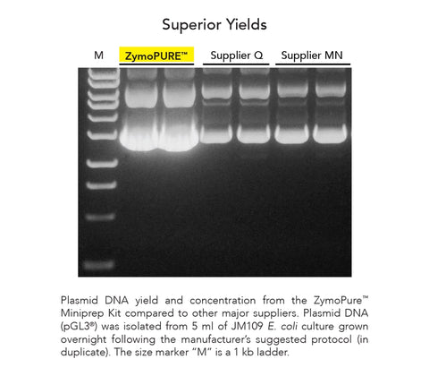 ZymoPURE II Plasmid Maxiprep Kit – Get a Free Sample Today