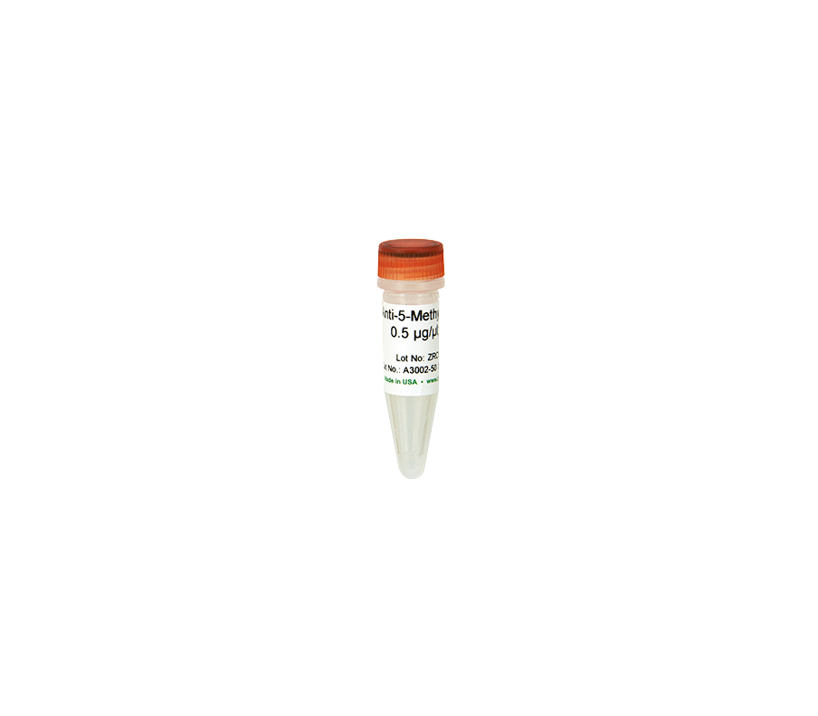ma5ページ Anti-5-Methylcytosine Monoclonal Antibody (Clone 7D21)