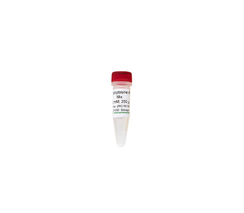 5-Methylcytosine dNTP Mix