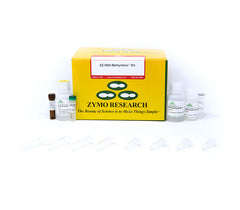 EZ DNA Methylation Kit