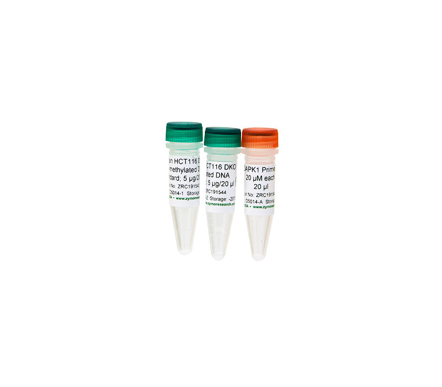 Amazon | DNA Methylation Protocols (Methods in Molecular