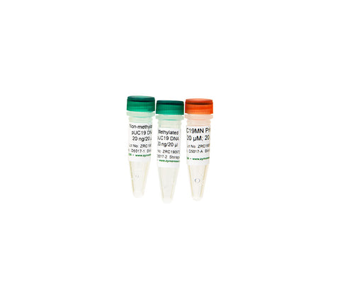 Methylated & Non-methylated pUC19 DNA Set