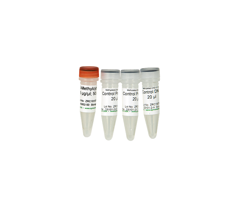 ThetaHealing ADVANCED DNA マニュアル ThetaHealing ADVANCED DNA マニュアル-安いショッピング