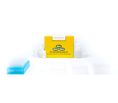 Quick-DNA Fungal/Bacterial 96 Kit
