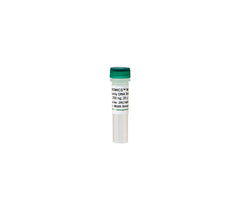 ZymoBIOMICS Microbial Community DNA Standard