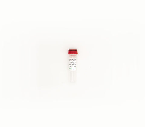 ZymoBIOMICS Microbial Community DNA Standard II (Log Distribution)