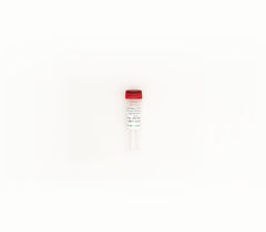 ZymoBIOMICS Microbial Community DNA Standard II (Log Distribution)