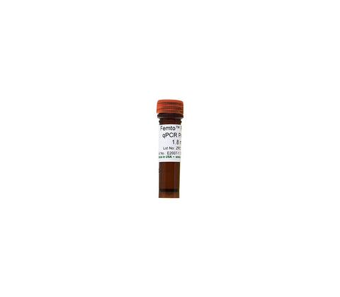 Femto Fungal qPCR Premix
