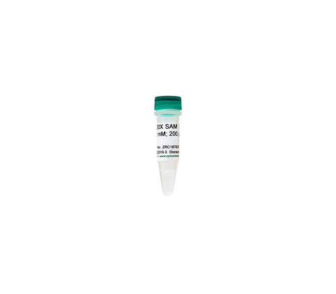 20X SAM (S-adenosylmethionine)
