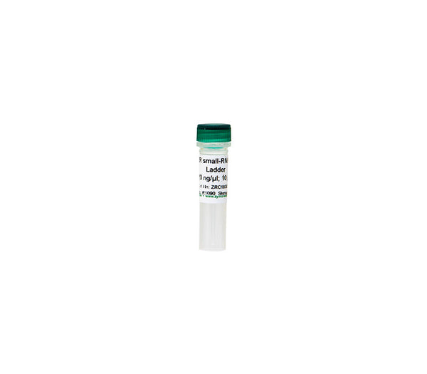 新品 ZR Ladder small-RNA 帽子