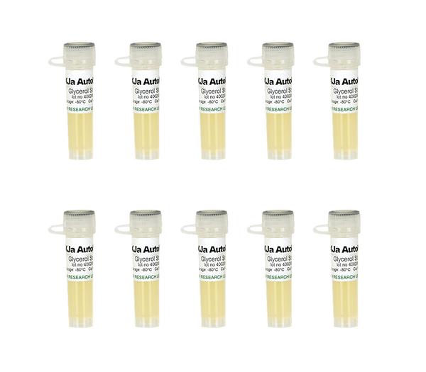 Qubit 3 DNA Oligo イオン プロテイン フッ素計 Qubit 3 DNA Oligo イオン プロテイン フッ素計