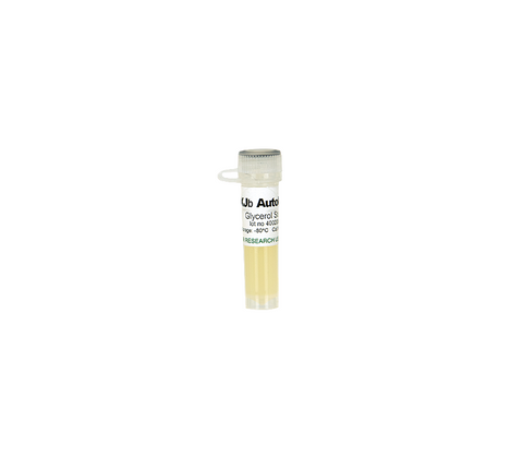 XJb Autolysis Glycerol Stock