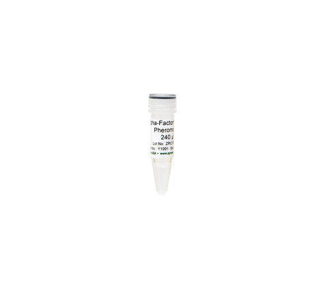 Alpha-Factor Mating Pheromone
