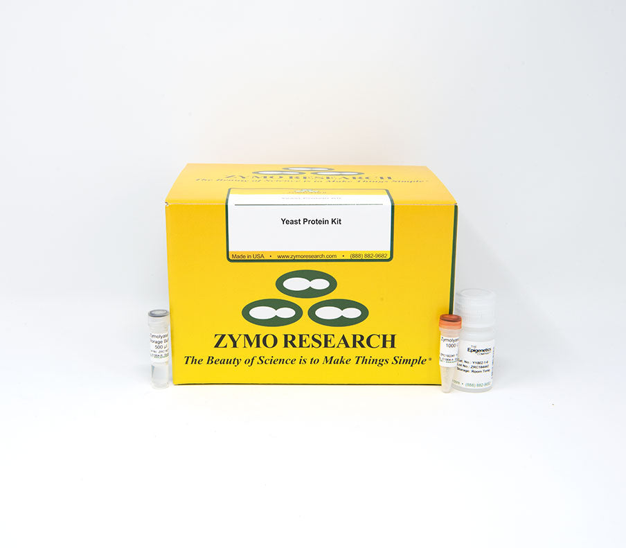 発酵プロテイン Y1002_Yeast-Protein-